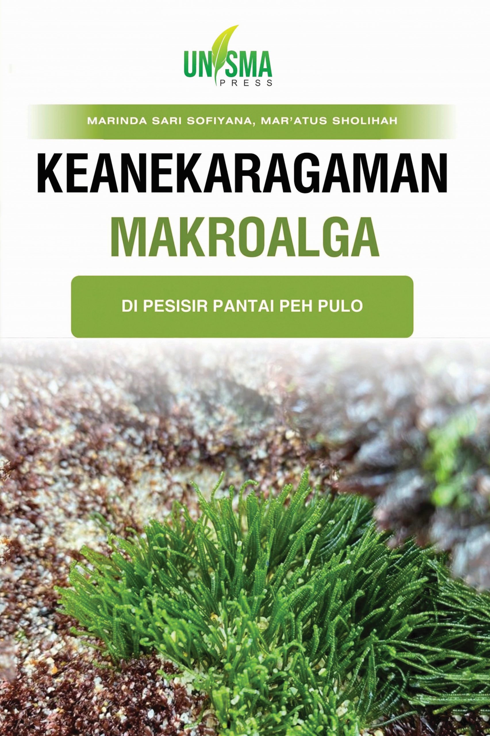 Keanekaragaman Makroalga di Pesisir Pantai Peh Pulo